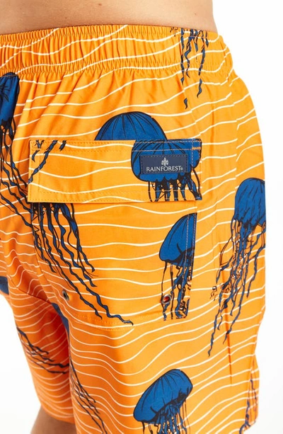 Shop Rainforest So Jelly Swim Shorts In Sky Blue