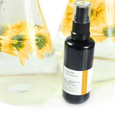 Shop Odacite Aloe + Immortelle Hydra-repair Treatment Mist