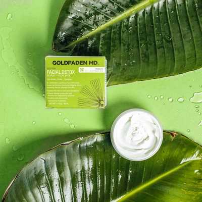 Goldfaden Md Facial Detox Pore Clarifying Mask