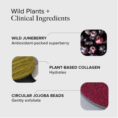 Shop Alpyn Beauty Juneberry & Collagen Hydrating Cream Cleanser