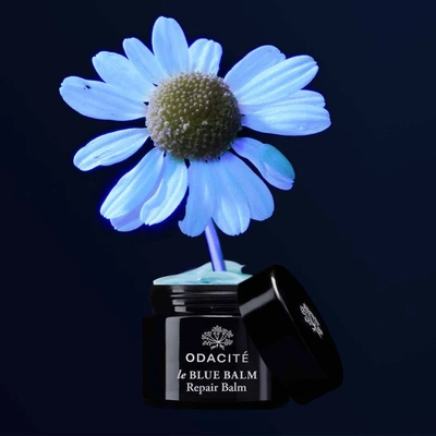 Odacite Le Blue Balm