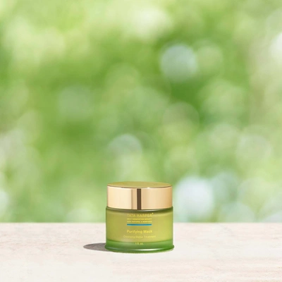 Tata Harper Purifying Mask