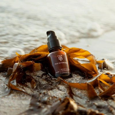 True Botanicals Renew Repair Nightly Treatment