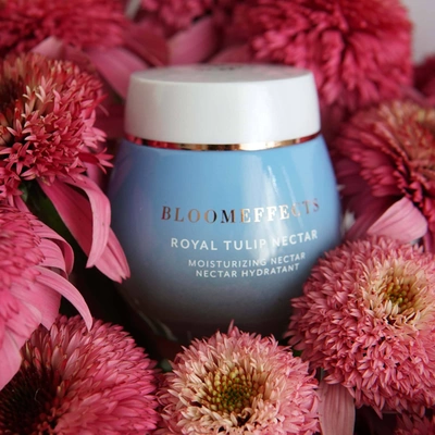 Shop Bloomeffects Royal Tulip Nectar + Echinacea