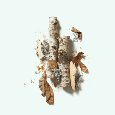 Corpus Santalum Natural Deodorant
