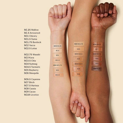 Ilia True Skin Serum Concealer