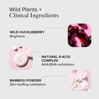 Shop Alpyn Beauty Wild Huckleberry 8-acid Polishing Peel