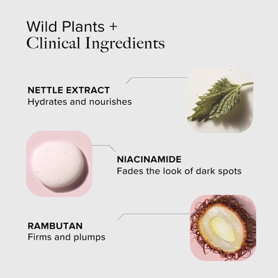 Alpyn Beauty Wild Nettle & Niacinamide Instant Firming Serum 1 oz/ 30 ml