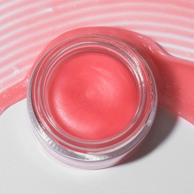 Alpyn Beauty Willow & Sweet Agave Plumping Lip Mask .35 oz/ 10 ml