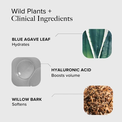 Alpyn Beauty Willow & Sweet Agave Plumping Lip Mask .35 oz/ 10 ml