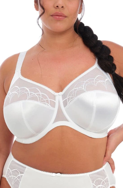 Elomi Cate Full Figure Underwire Lace Cup Bra El4030, Online Only