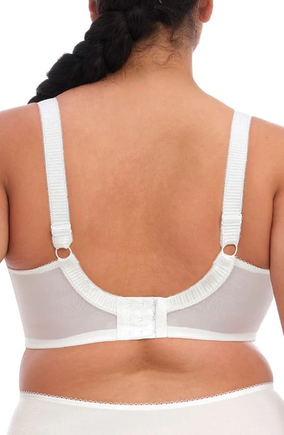 Elomi Cate Full Figure Underwire Lace Cup Bra El4030, Online Only In White