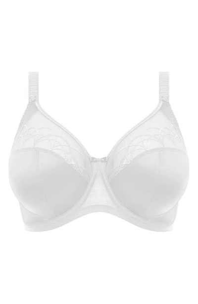 Elomi Cate Full Figure Underwire Lace Cup Bra El4030, Online Only In White