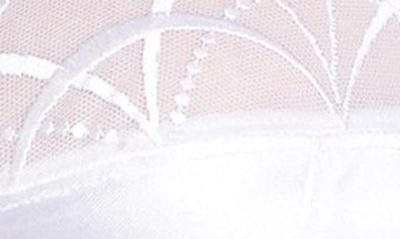 Elomi Cate Full Figure Underwire Lace Cup Bra El4030, Online Only In White