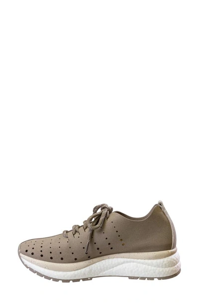 Shop Otbt Alstead Perforated Sneaker In Greige