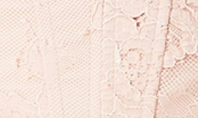 Shop Bardot Ellie Floral Lace Corset Top In Soft Pink