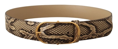 Shop Dolce & Gabbana Elegant Phyton Leather Belt With Gold Women's Buckle In Brown