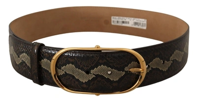 Shop Dolce & Gabbana Elegant Snakeskin Belt With Gold Oval Women's Buckle In Brown