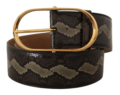 Shop Dolce & Gabbana Elegant Snakeskin Belt With Gold Oval Women's Buckle In Brown