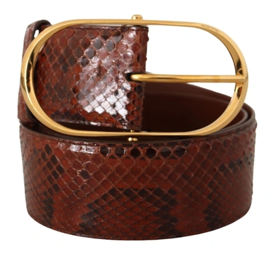Shop Dolce & Gabbana Elegant Python Snake Skin Leather Women's Belt In Brown