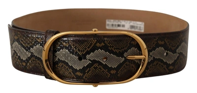 Shop Dolce & Gabbana Elegant Gold Oval Buckle Leather Women's Belt In Brown