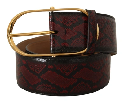 Shop Dolce & Gabbana Elegant Red Python Leather Belt With Gold Women's Buckle
