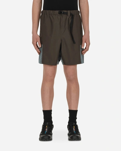 Shop Rayon Vert W3w Furio Shorts Terra In Brown