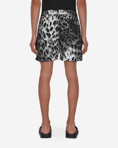 Shop Aries Leopard Board Shorts Black In Beige