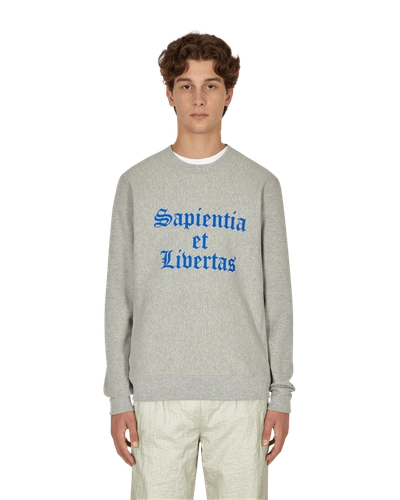 Noah Crewneck Knowledge Sweatshirt In Heather Grey
