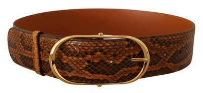 Shop Dolce & Gabbana Elegant Python Skin Leather Women's Belt In Brown
