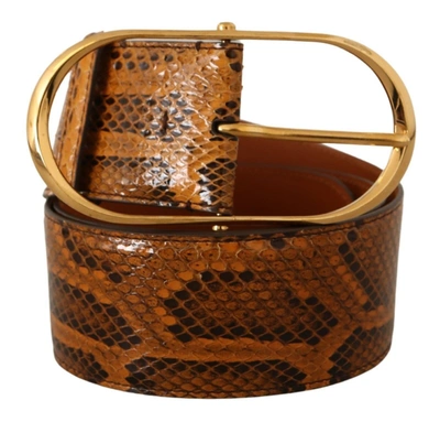 Shop Dolce & Gabbana Elegant Python Skin Leather Women's Belt In Brown