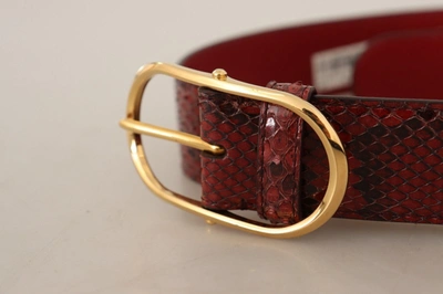 Shop Dolce & Gabbana Elegant Red Snakeskin Leather Women's Belt