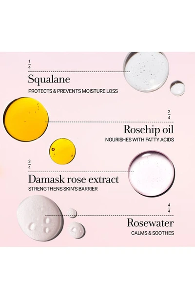 Freshr Rose Deep Hydrating Oil-infused Serum
