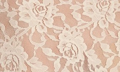 Hanky Panky Signature Lace Bike Short In Chai