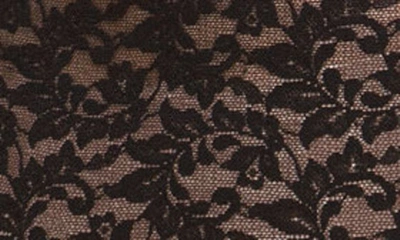 Hanky Panky Plus Retro Lace V-kini Panty In Black