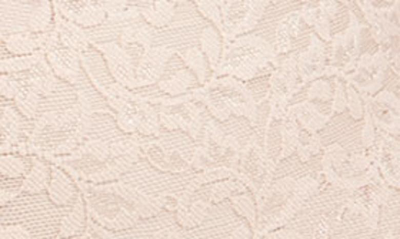 Hanky Panky Signature Lace Retro Thong In Chai