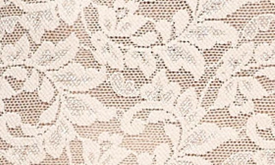 Hanky Panky Retro Signature Lace Hotpant In Chai