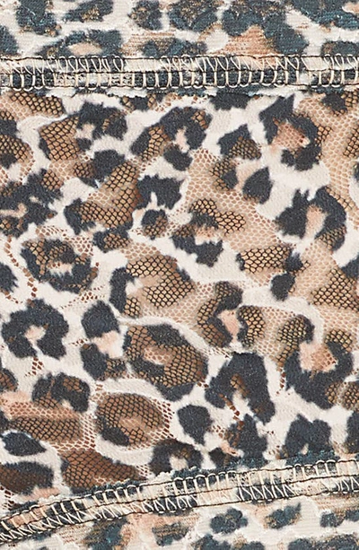 Hanky Panky Leopard-print Lace Boyshorts In Brown/ Black