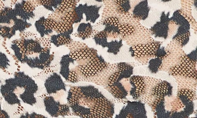 Hanky Panky Leopard-print Lace Boyshorts In Brown/ Black