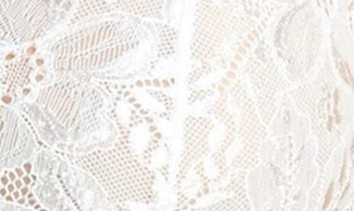 Shop Hanky Panky 'victoria' Lace Chemise & G-string In Light Ivory