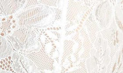 Hanky Panky Victoria Lace Chemise With G-string In Light Ivory