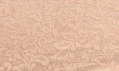 Hanky Panky Plus Signature Lace Retro Thong In Chai