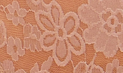 Shop Hanky Panky Daily Lace Briefs In Taupe