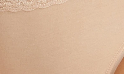 Hanky Panky Organic Cotton Plus Size Conscience French Brief 892461x In Chai