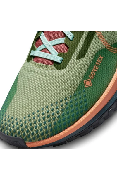 Shop Nike React Pegasus Trail 4 Gore-tex® Waterproof Running Shoe In Alligator/ Orange/ Mint