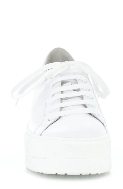 Bos. & Co. Maya Platform Sneaker In White Verona Leather
