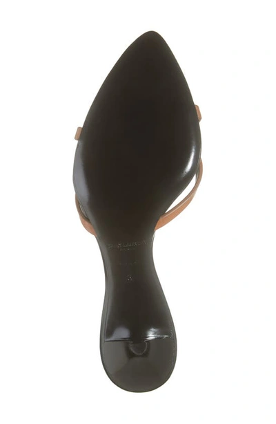 Shop Saint Laurent Gippy Dream Kitten Heel Slide Sandal In Brown/ Black