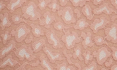 Shop Hanky Panky X-dye Leopard Print Retro Lace Thong In Desert Rose/ White