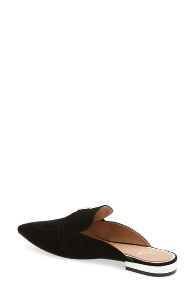 Shop Linea Paolo Ace Buckle Pointed Toe Mule In Black Suede