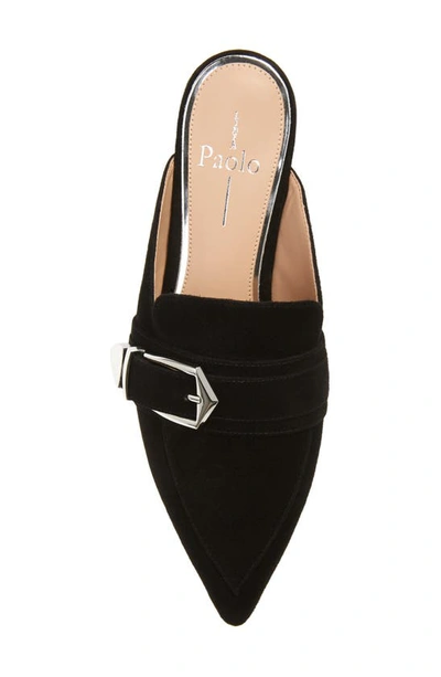 Shop Linea Paolo Ace Buckle Pointed Toe Mule In Black Suede